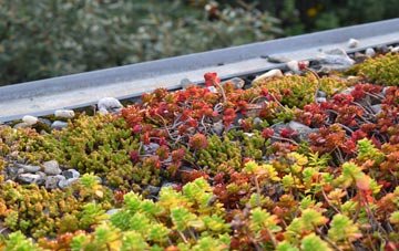 the cost of Stevens Crouch green roof installation