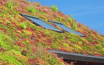 Stevens Crouch living roof systems