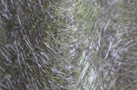 Stevens Crouch fibreglass roof work